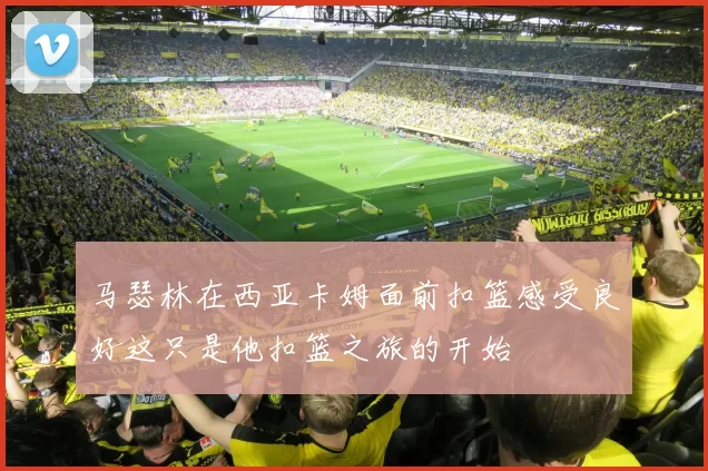 马瑟林在西亚卡姆面前扣篮感受良好这只是他扣篮之旅的开始