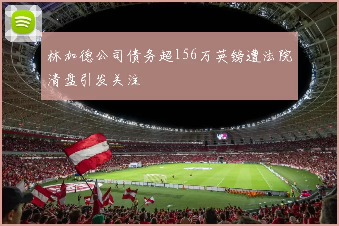 林加德公司债务超156万英镑遭法院清盘引发关注